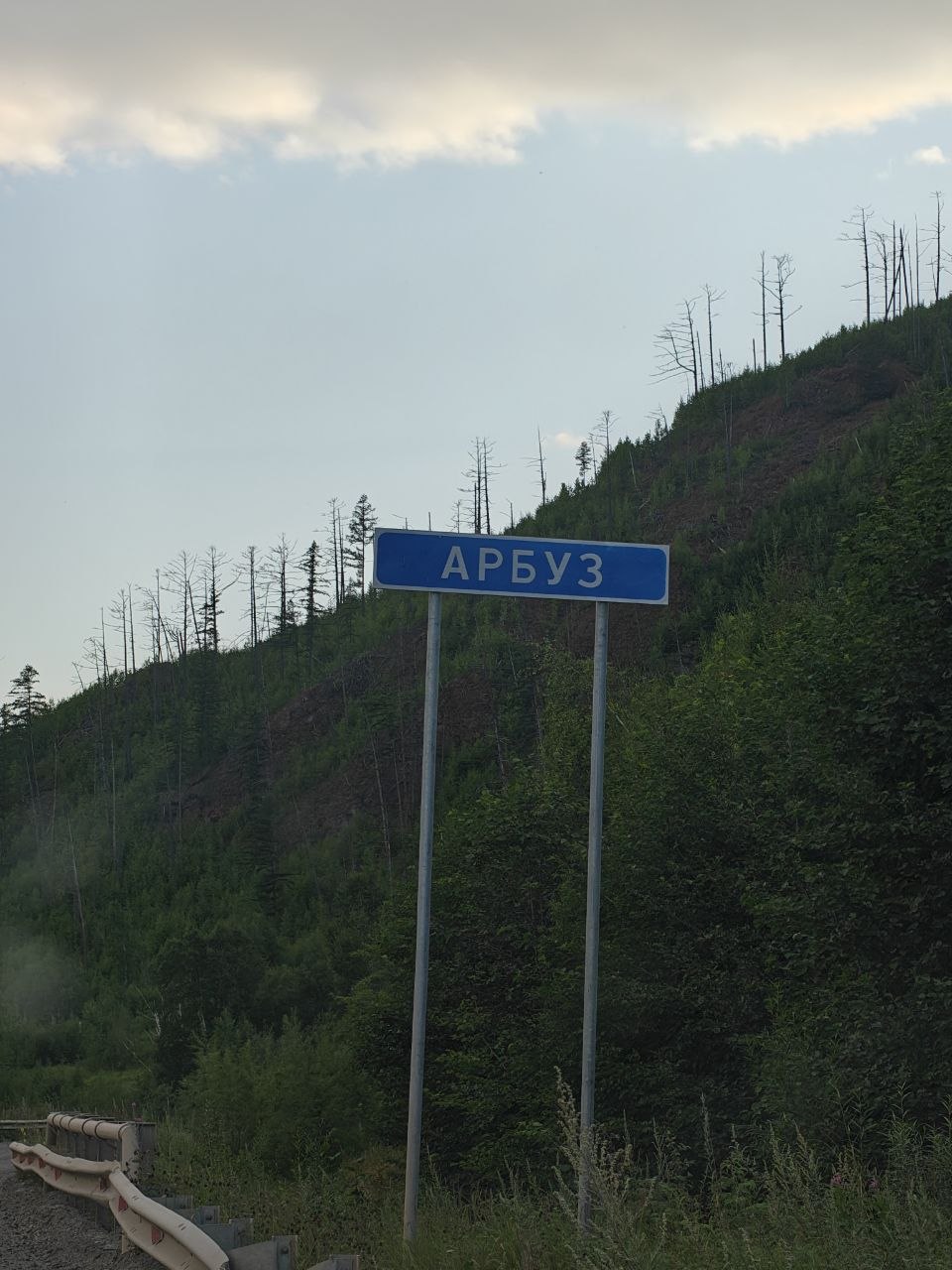 АРБУЗ.jpg