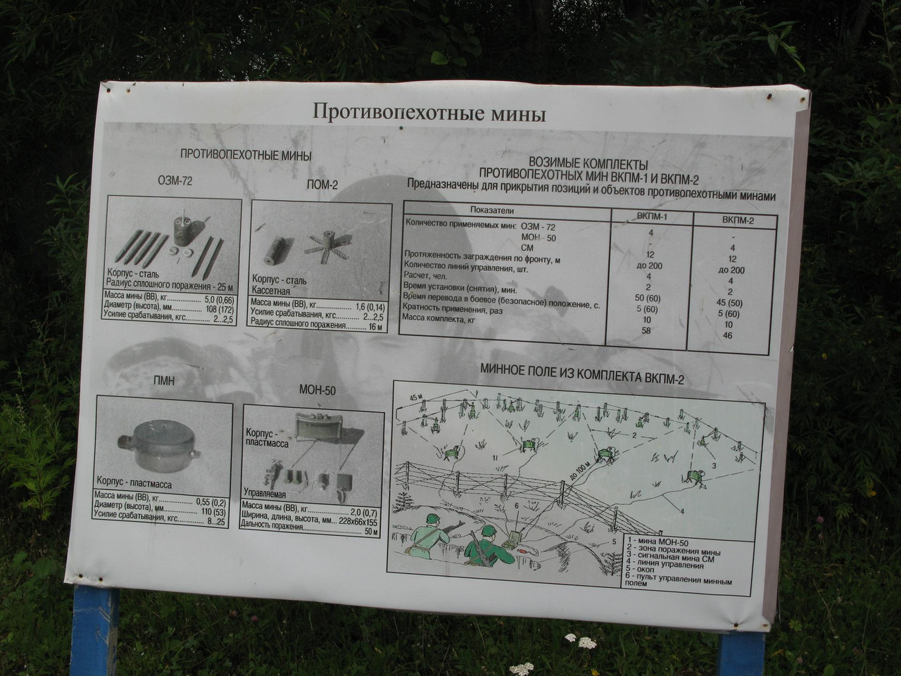 ППМ.jpg