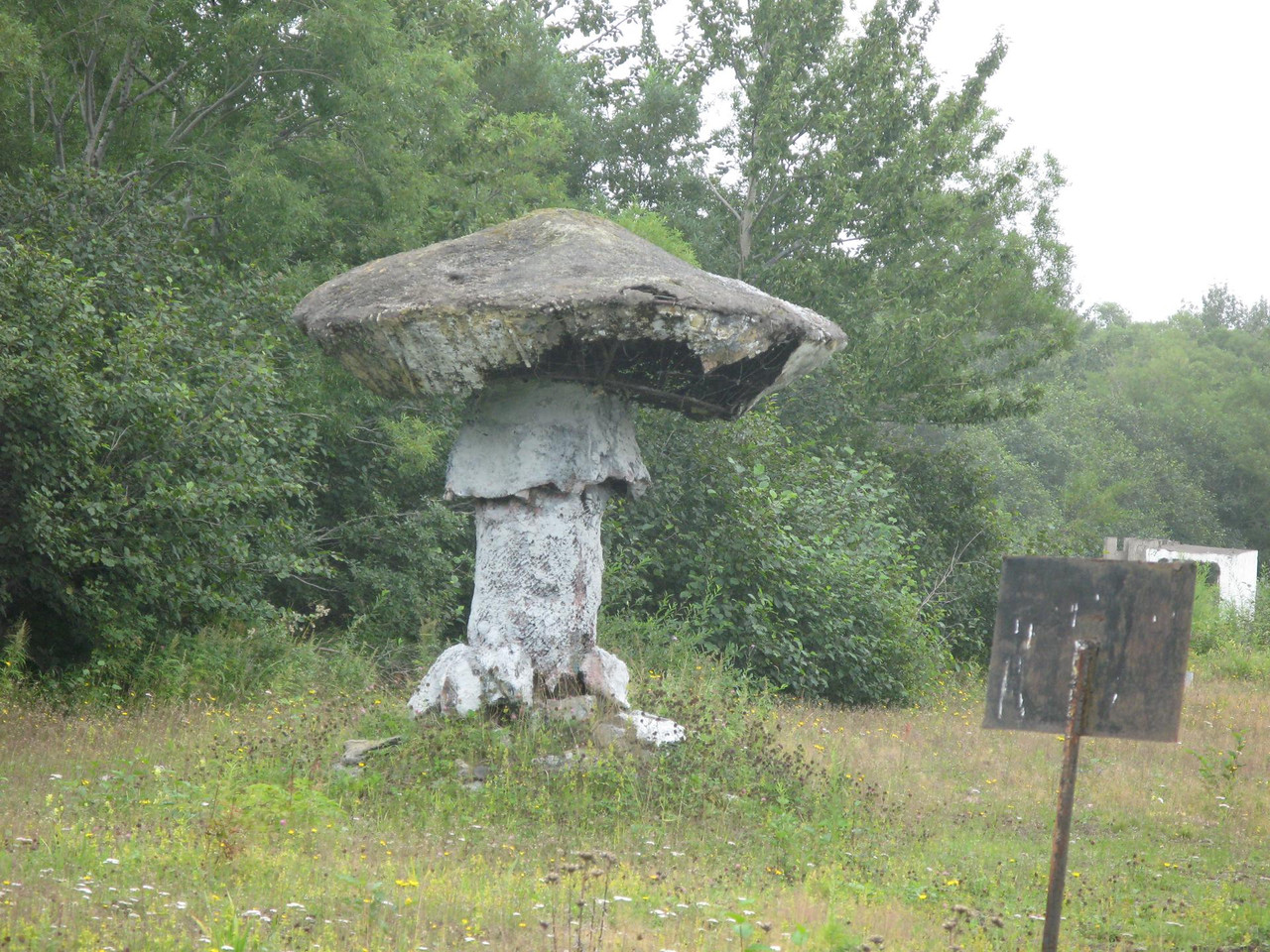 ЯД ВЗРЫВ-1.jpg