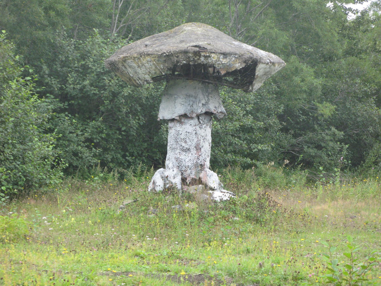 ЯД ВЗРЫВ-2.jpg