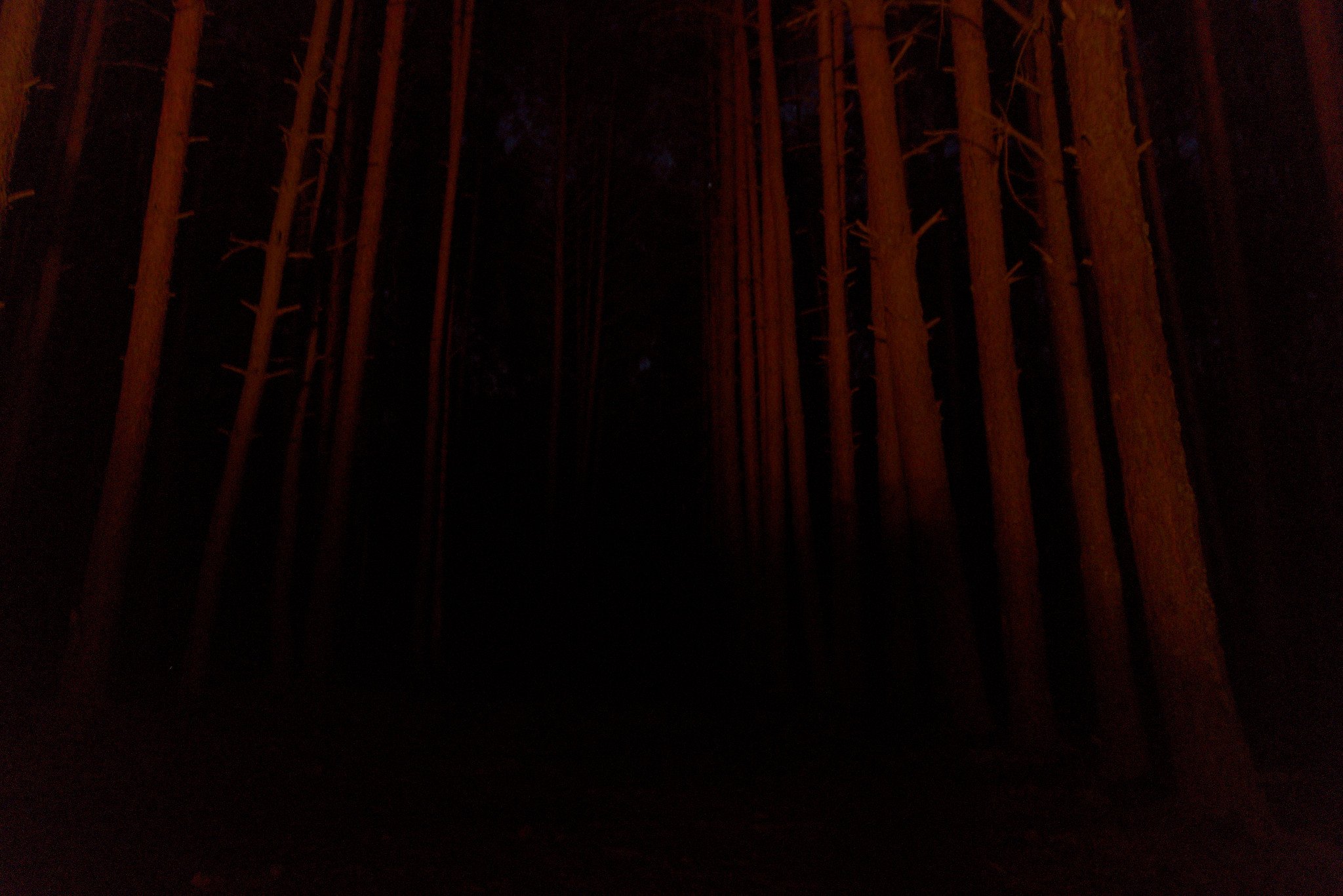 DSC016401.jpg