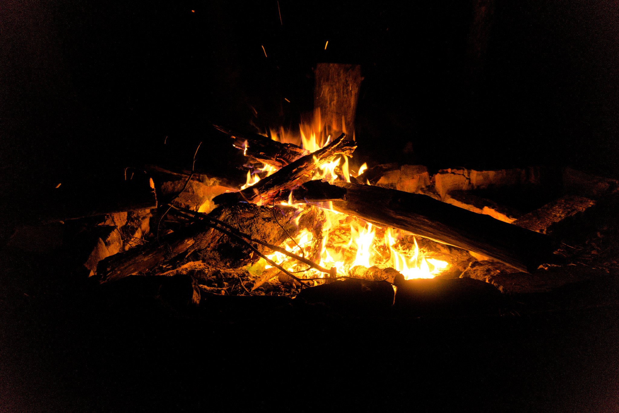 DSC016451.jpg