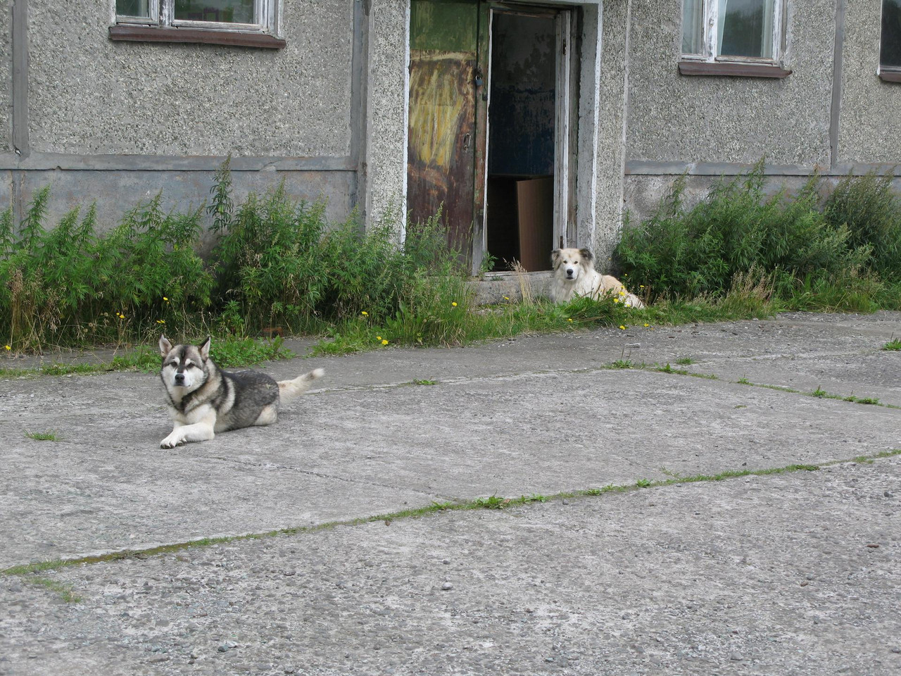 IMG-1487.jpg