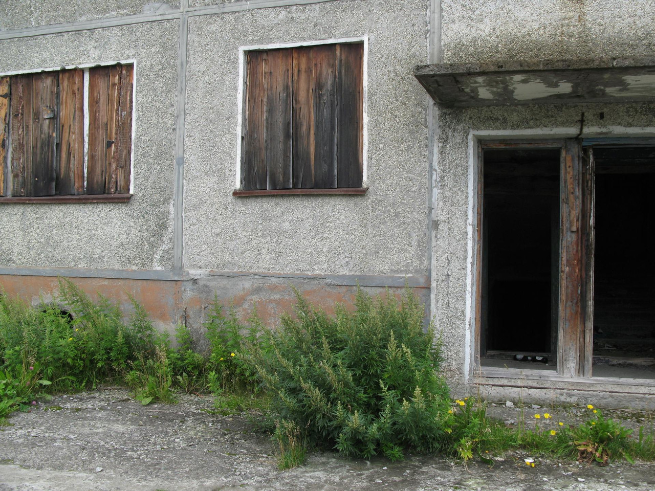 IMG-1489.jpg