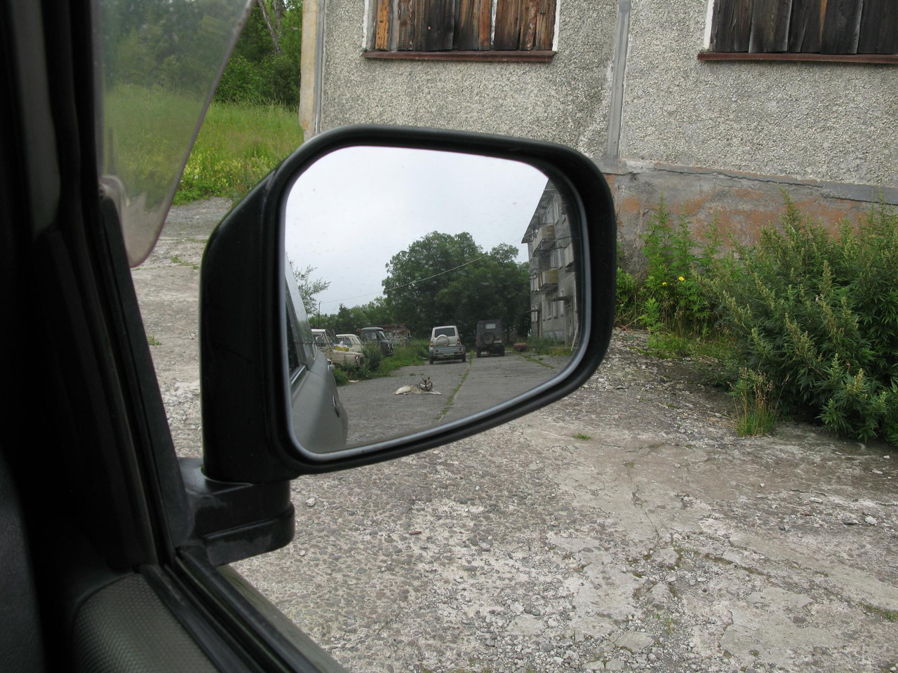 IMG-1490.jpg