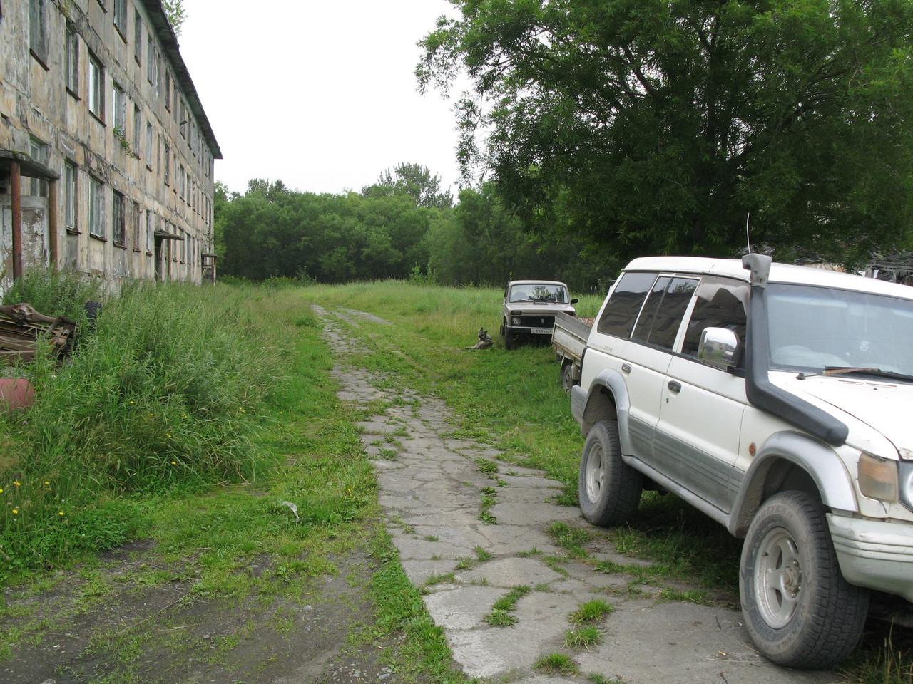 IMG-1495.jpg