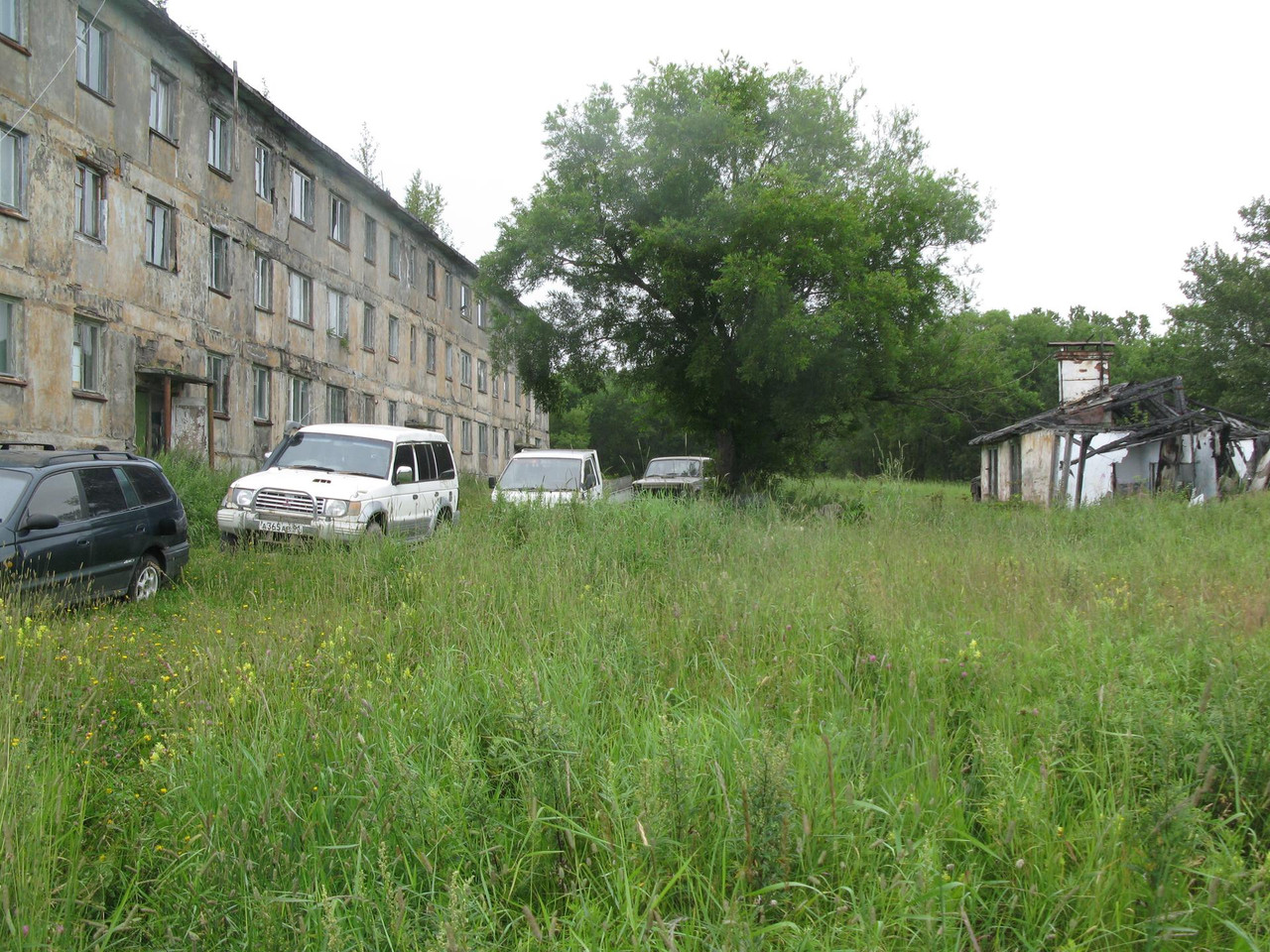 IMG-1497.jpg