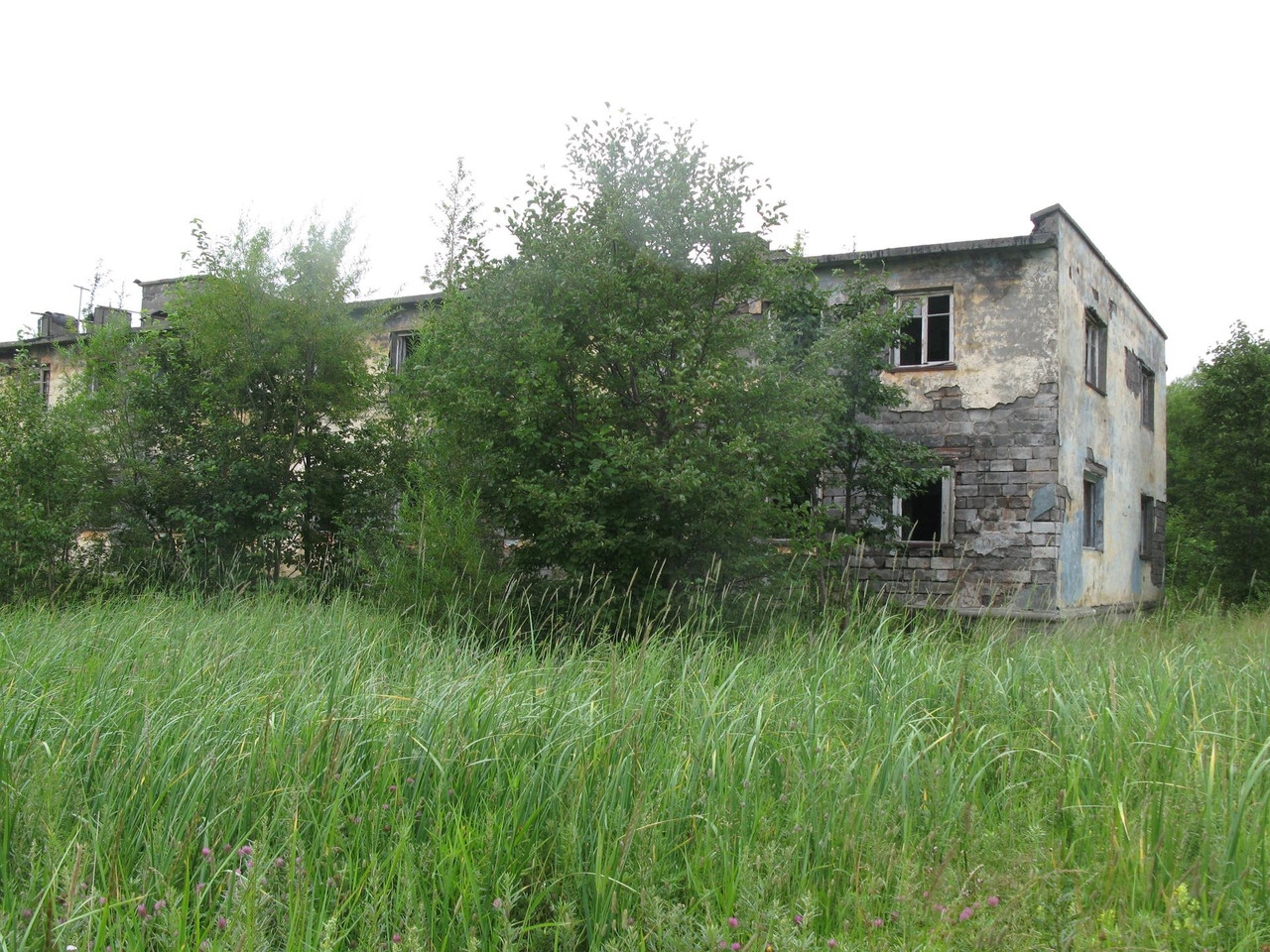 IMG-1498.jpg