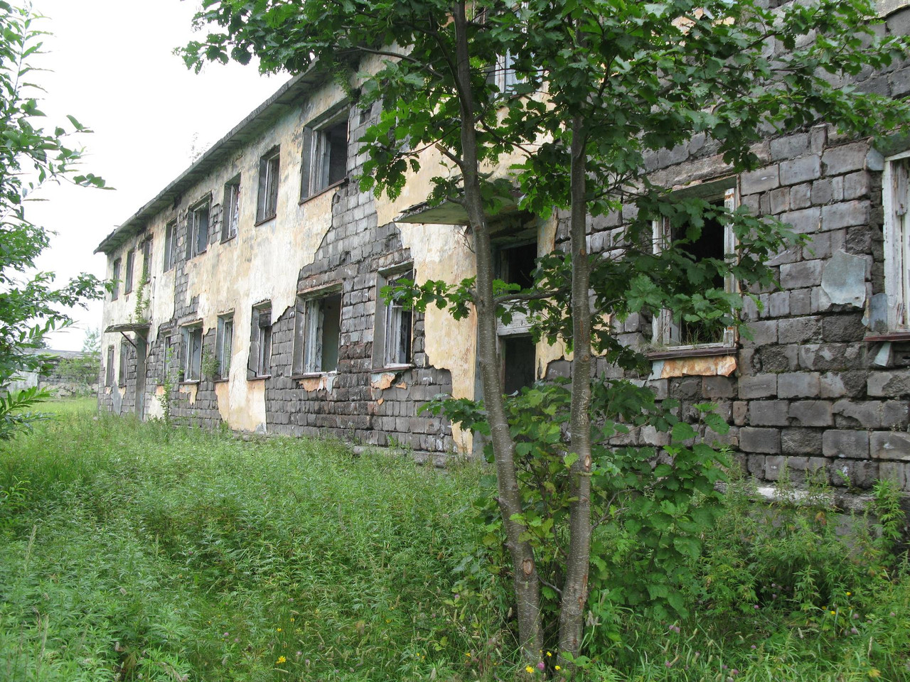 IMG-1503.jpg