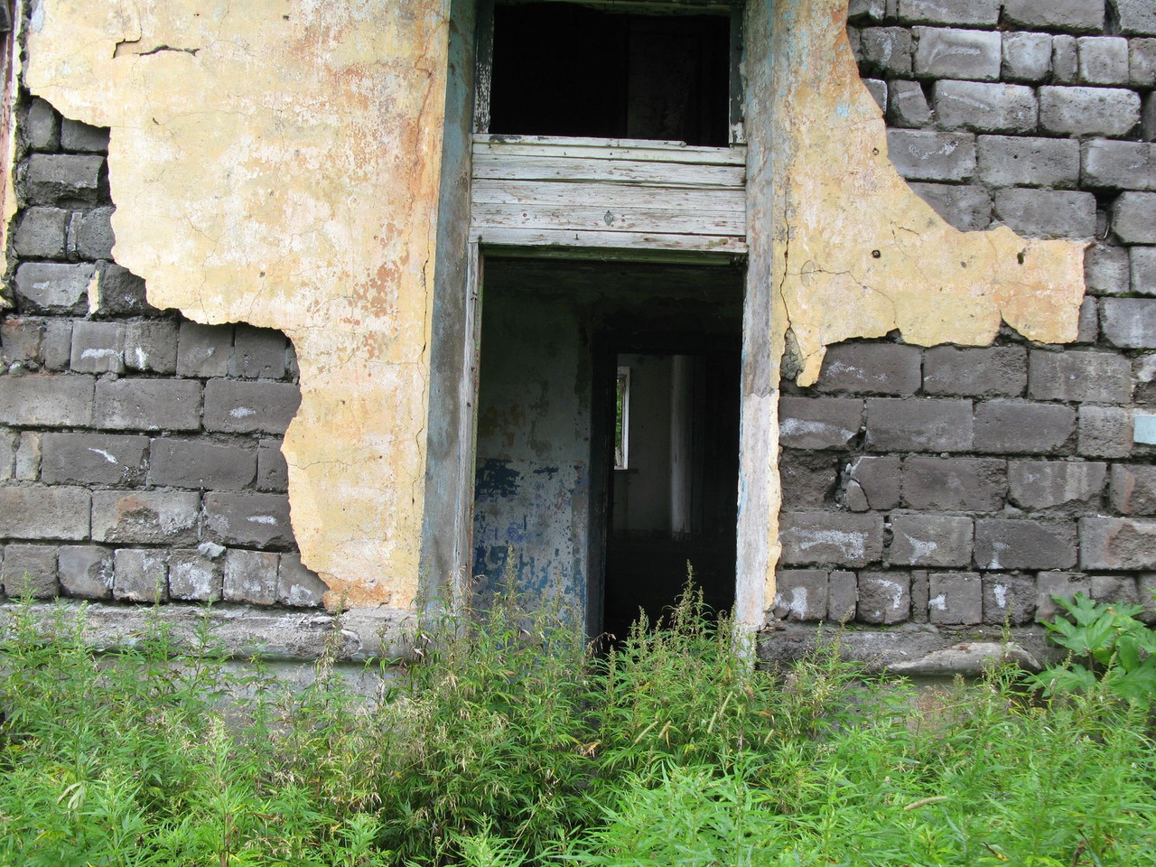 IMG-1504.jpg