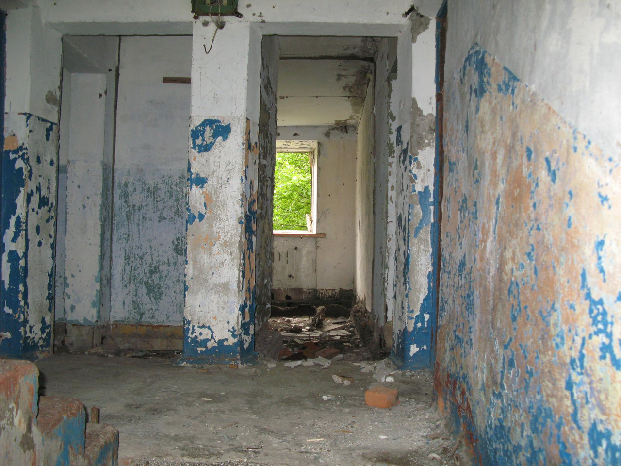 IMG-1505.jpg