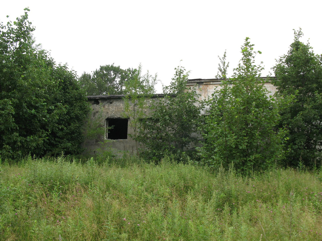 IMG-1513.jpg