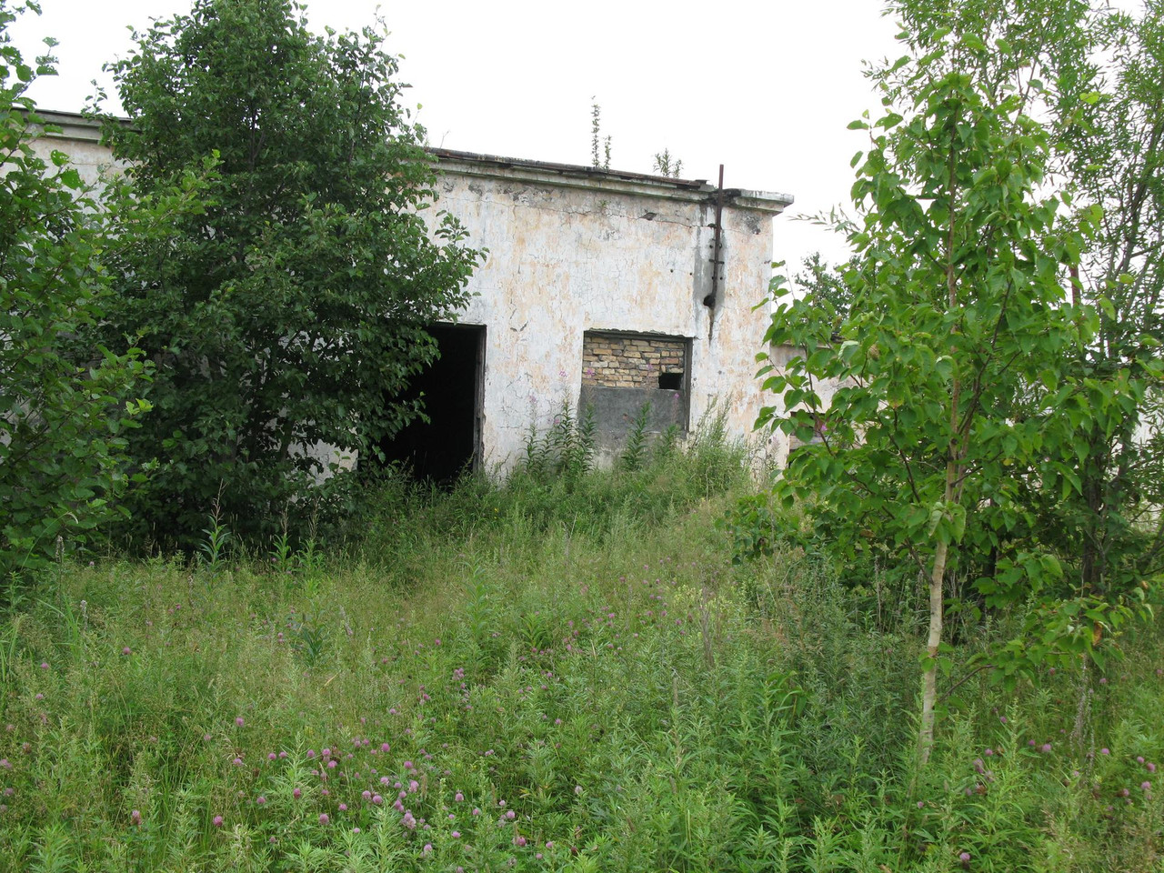 IMG-1514.jpg