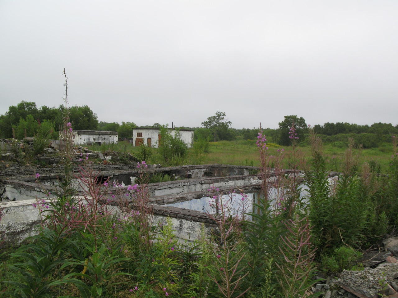 IMG-1517.jpg