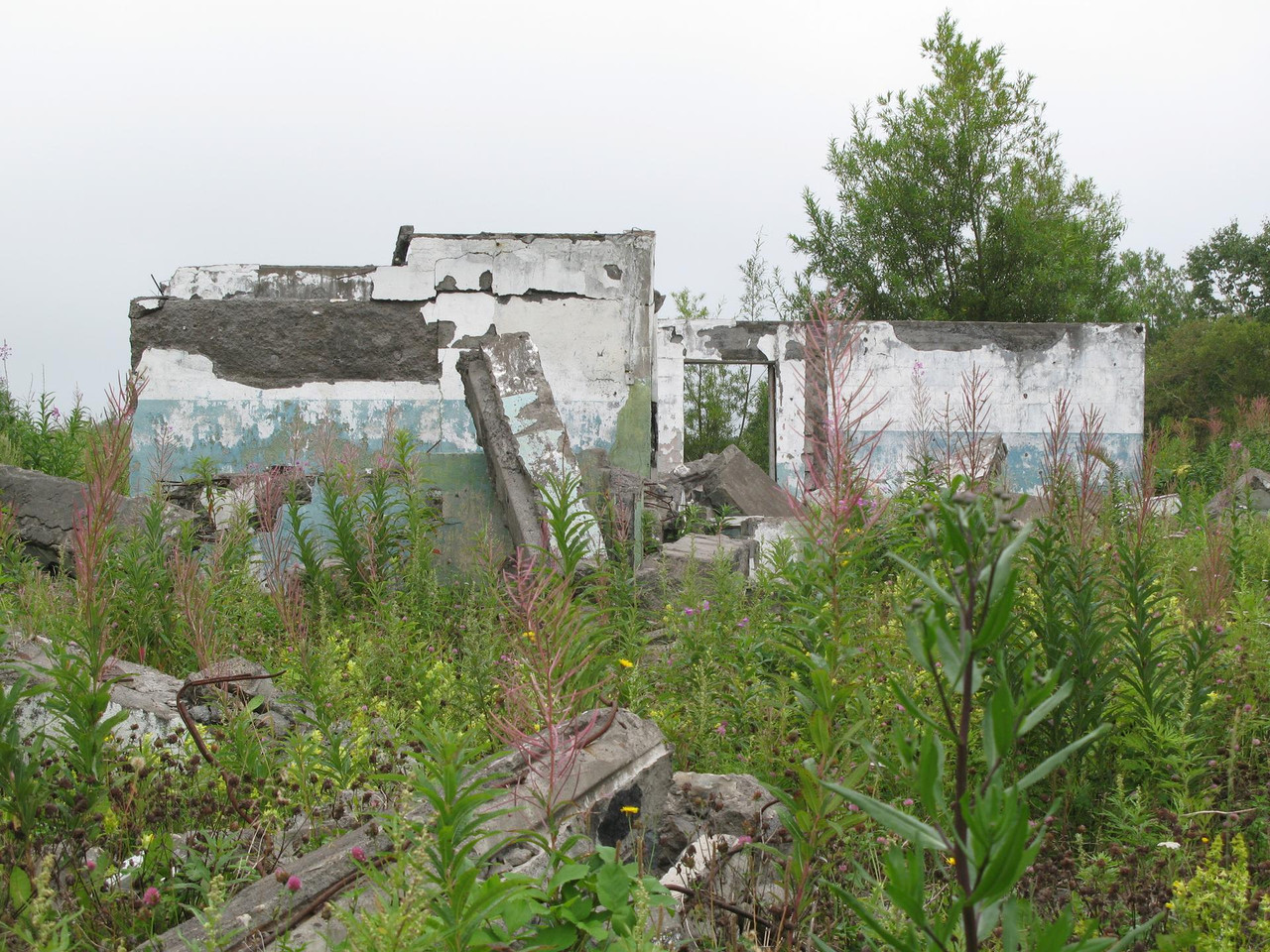 IMG-1518.jpg