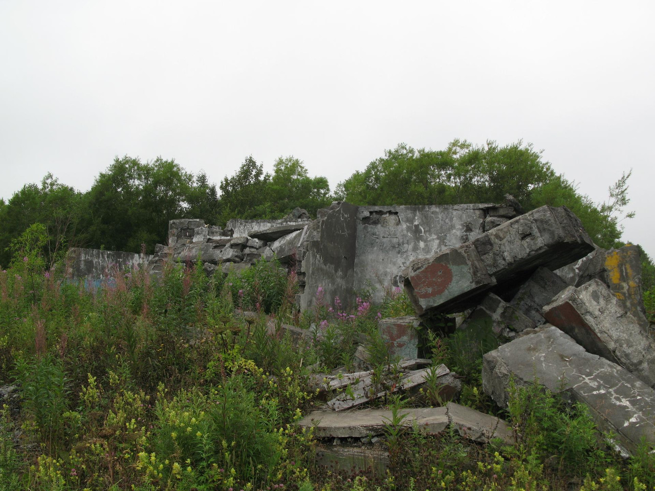 IMG-1519.jpg