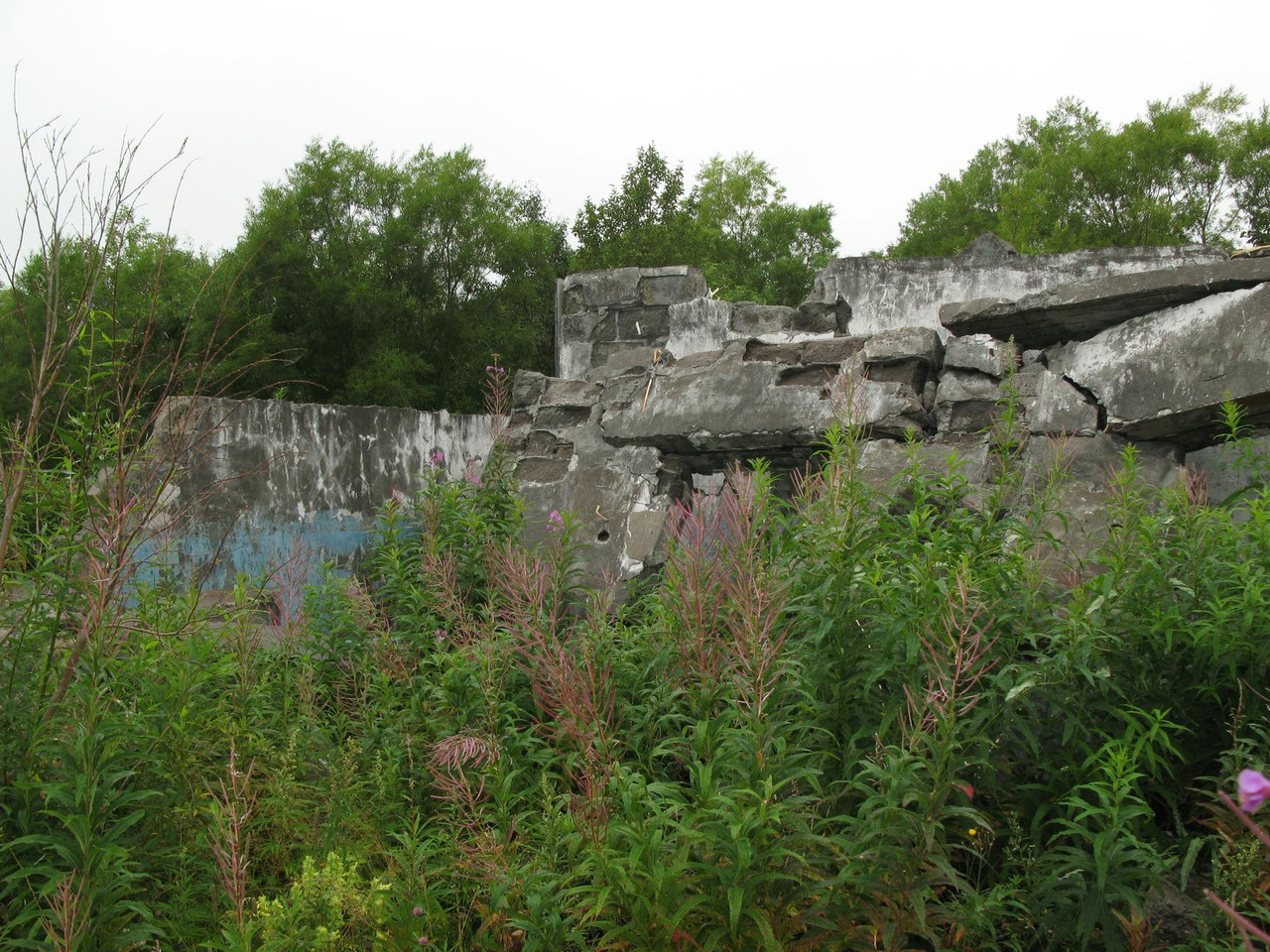 IMG-1521.jpg