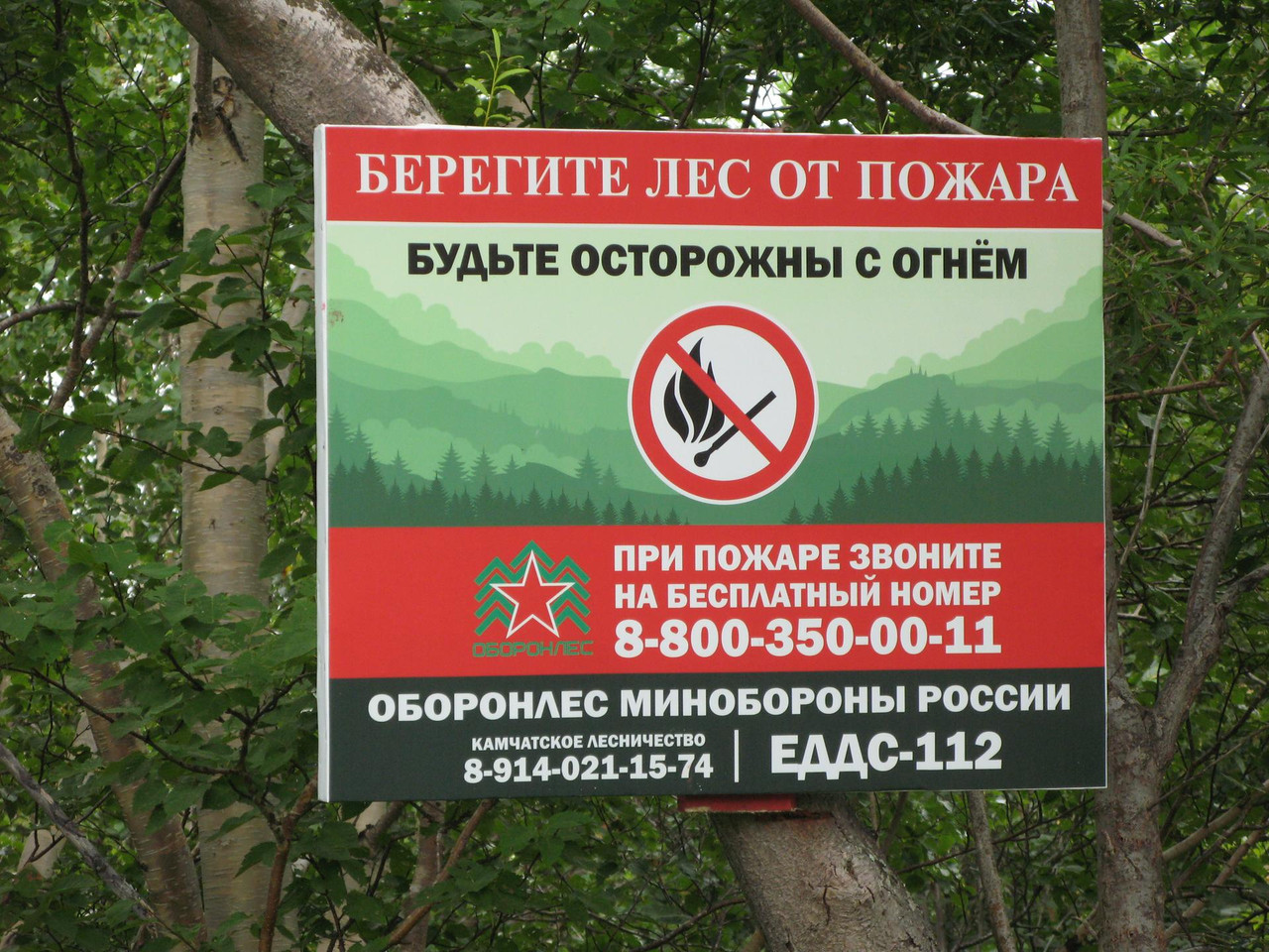 IMG-1523.jpg
