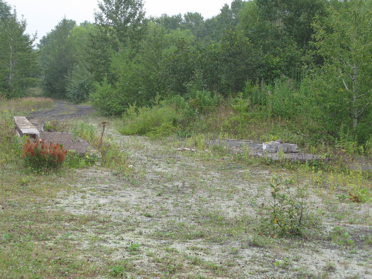 IMG-1528.jpg