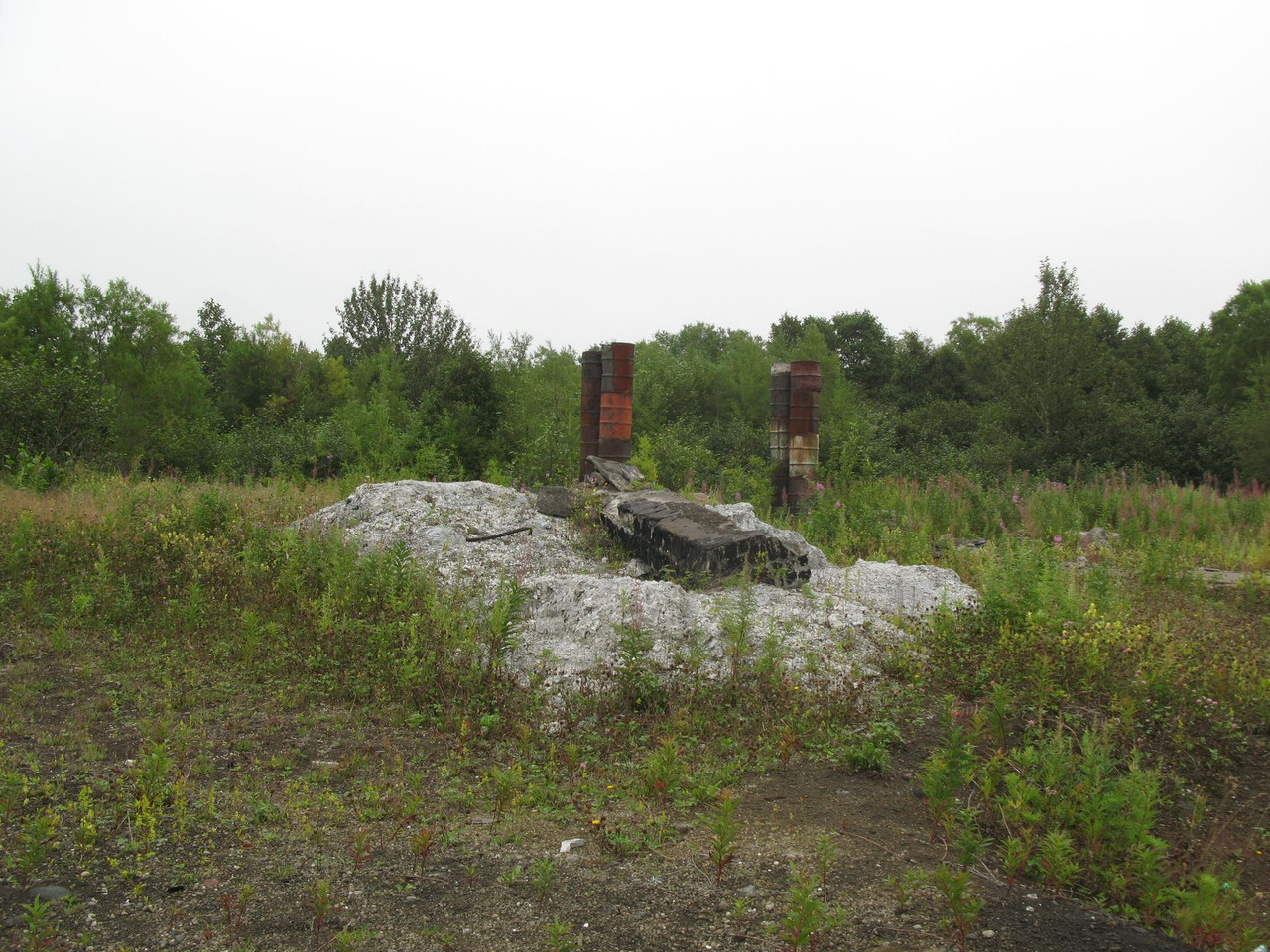 IMG-1535.jpg
