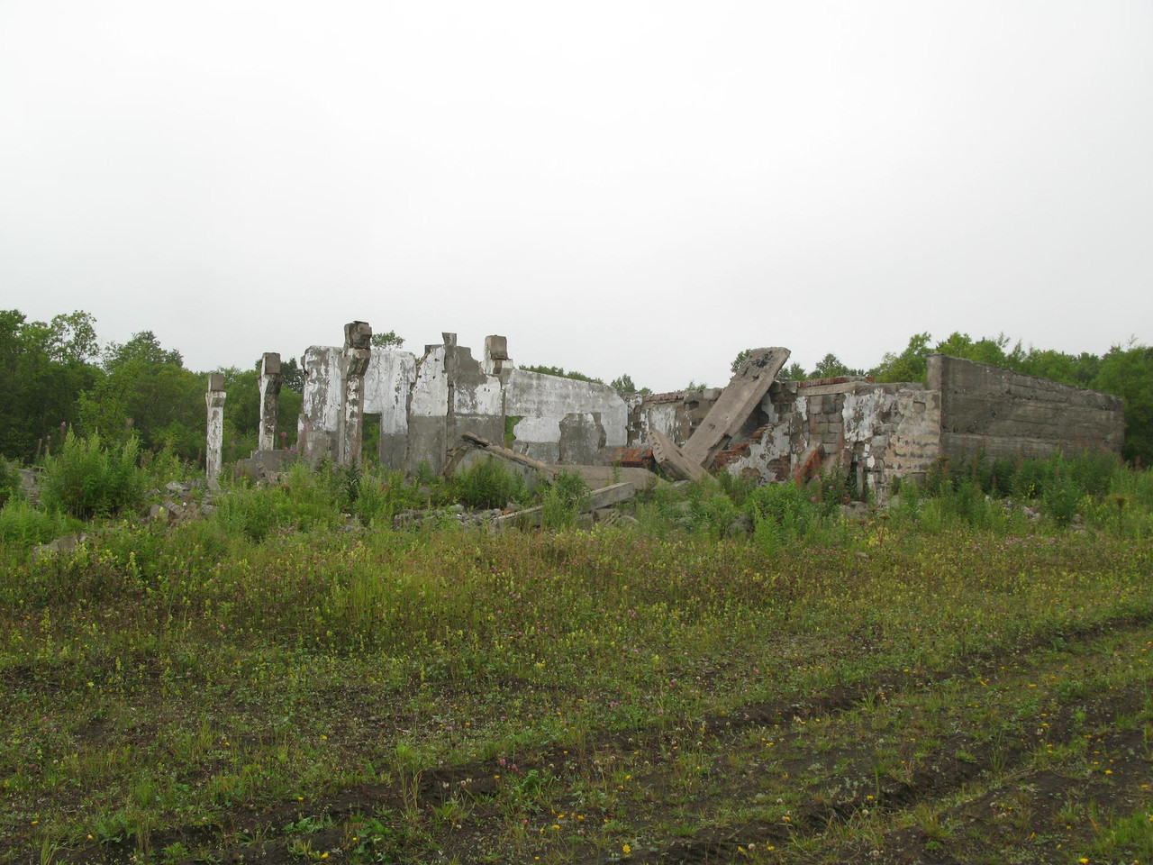 IMG-1537.jpg