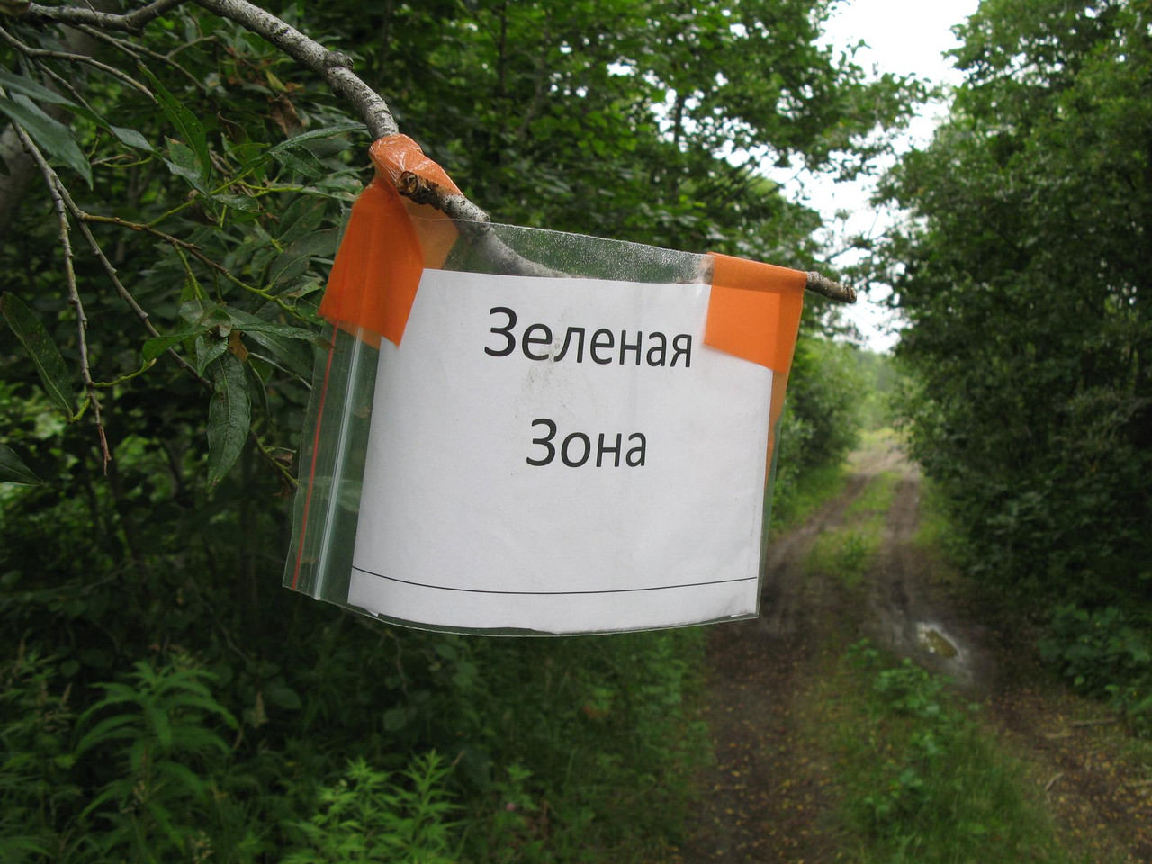 IMG-1540.jpg
