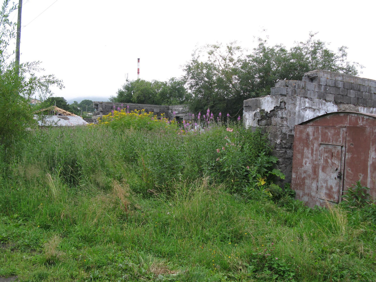 IMG-1551.jpg