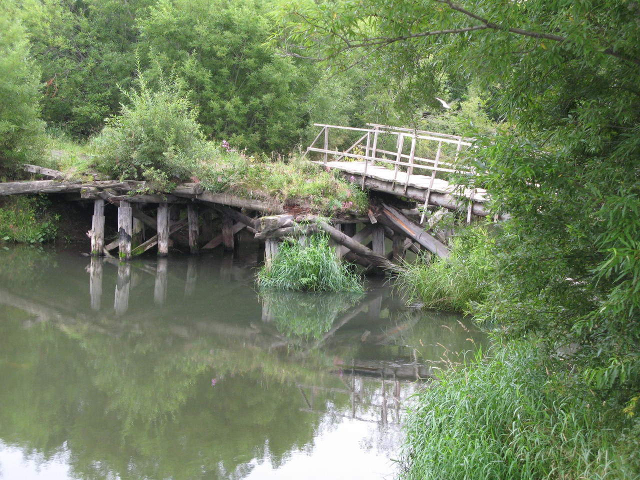 IMG-1552.jpg