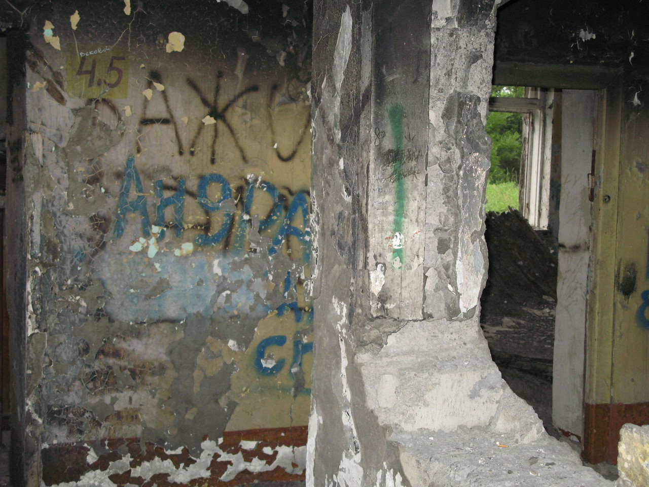 IMG-1558.jpg