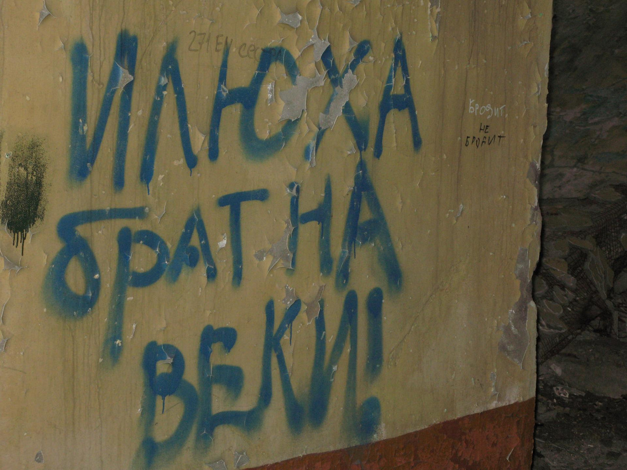 IMG-1560.jpg