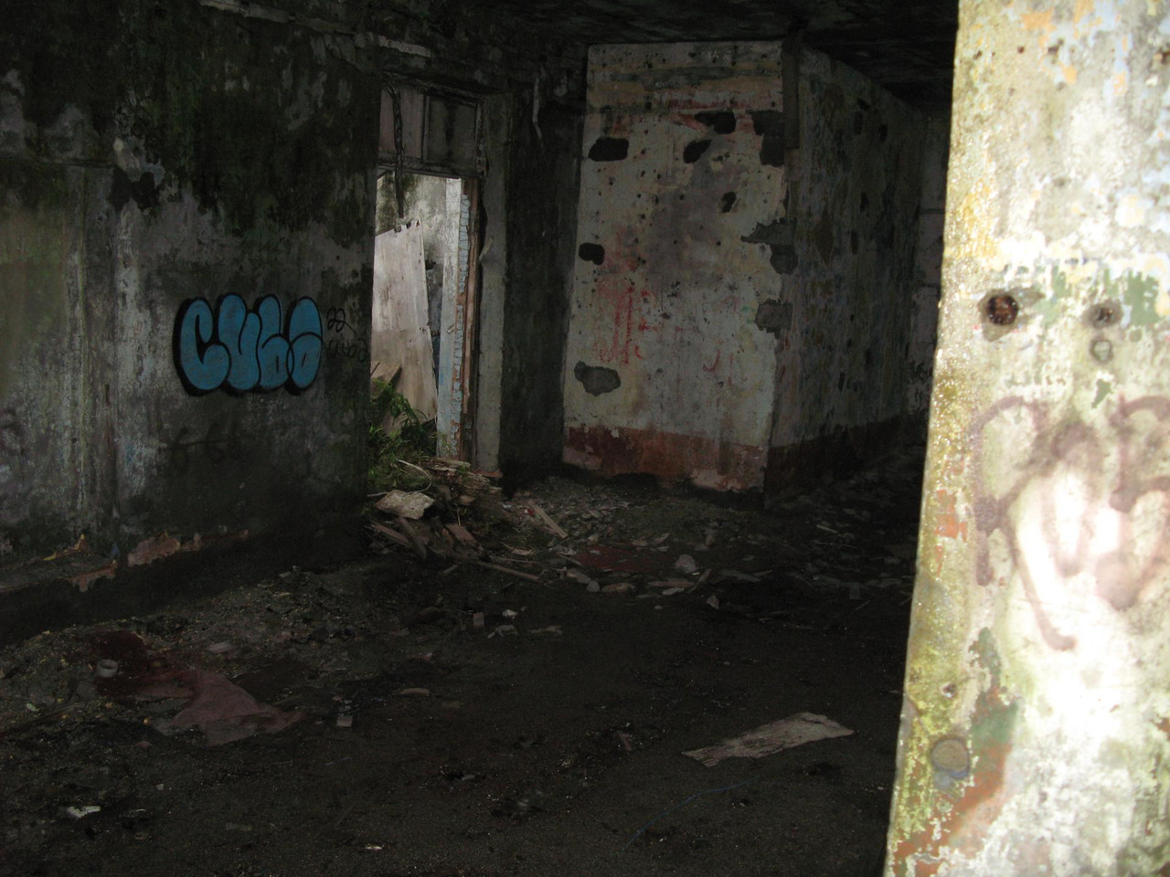 IMG-1564.jpg