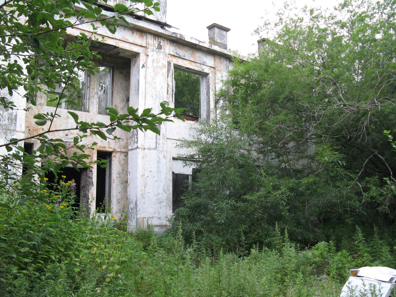 IMG-1566.jpg