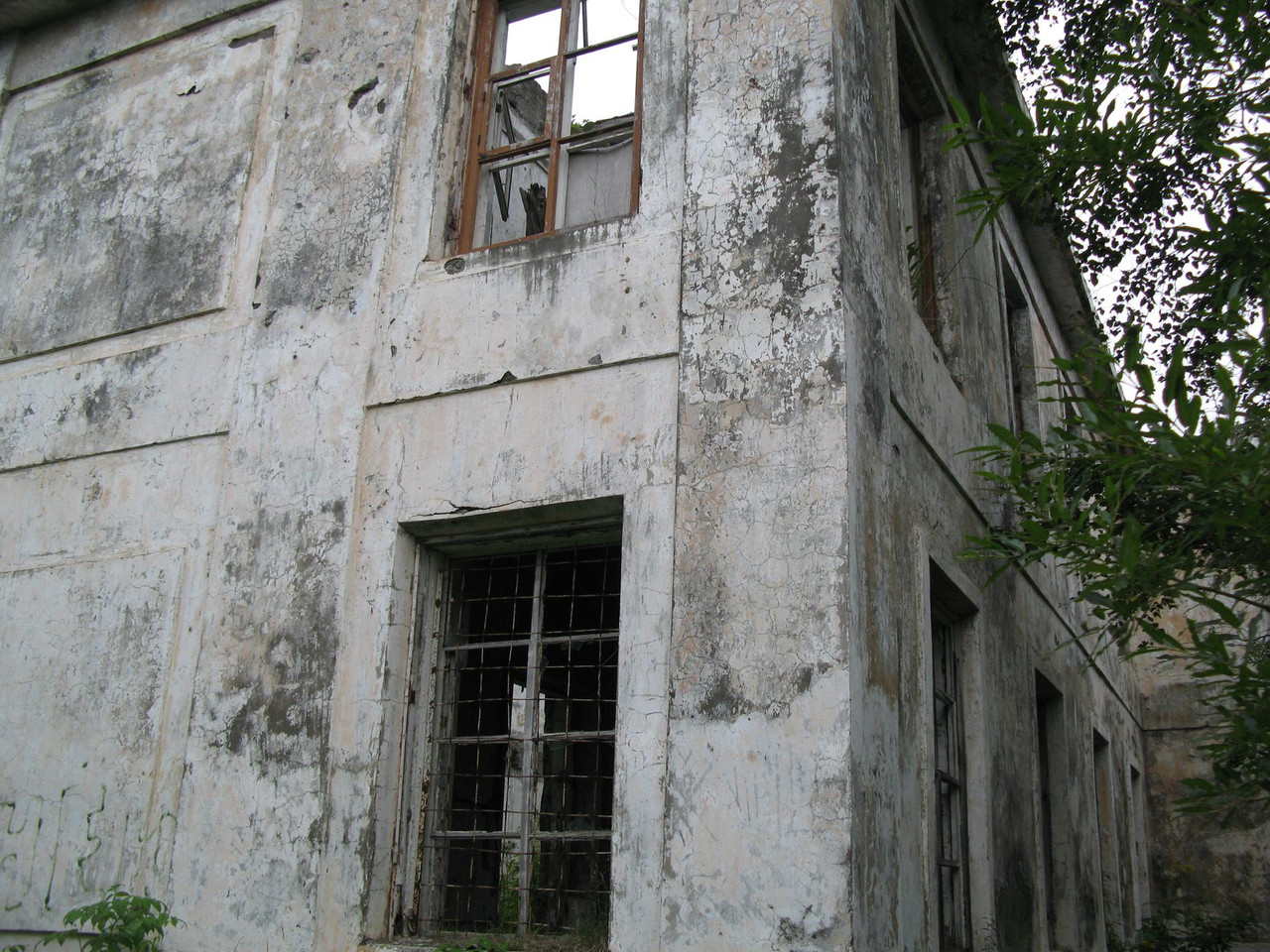 IMG-1567.jpg