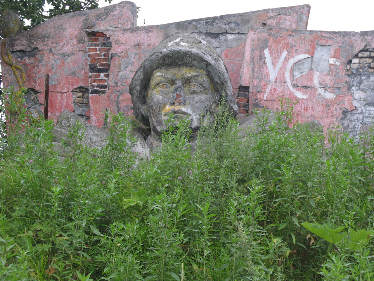 IMG-1569.jpg