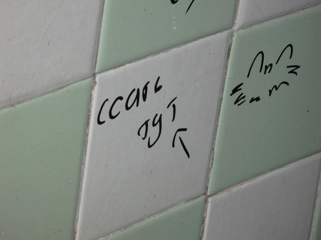 IMG-1574.jpg