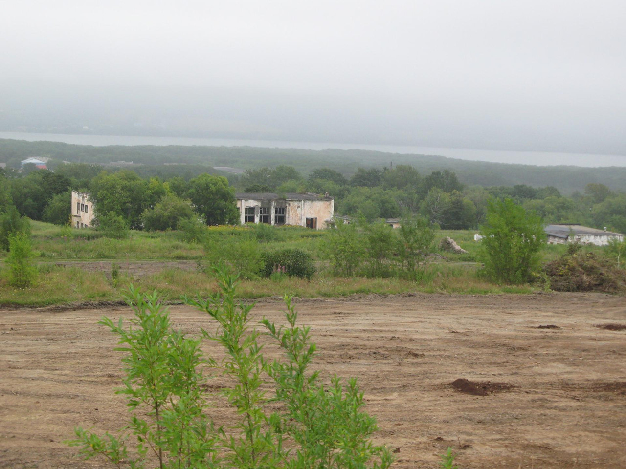 IMG-1580.jpg