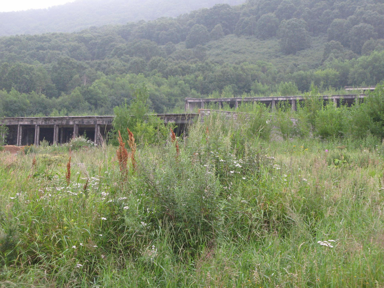 IMG-1589.jpg