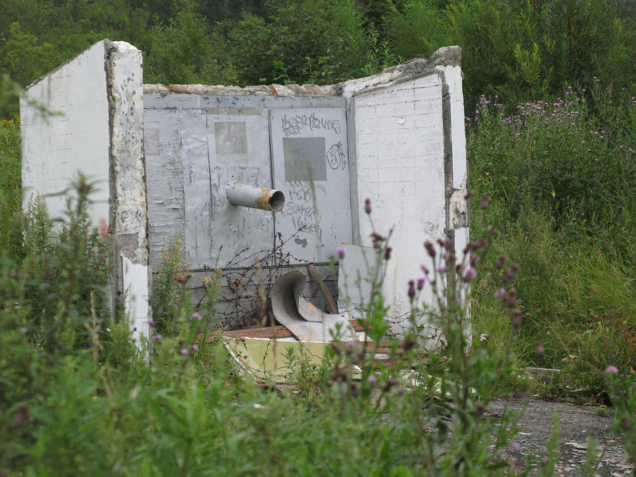 IMG-1591.jpg