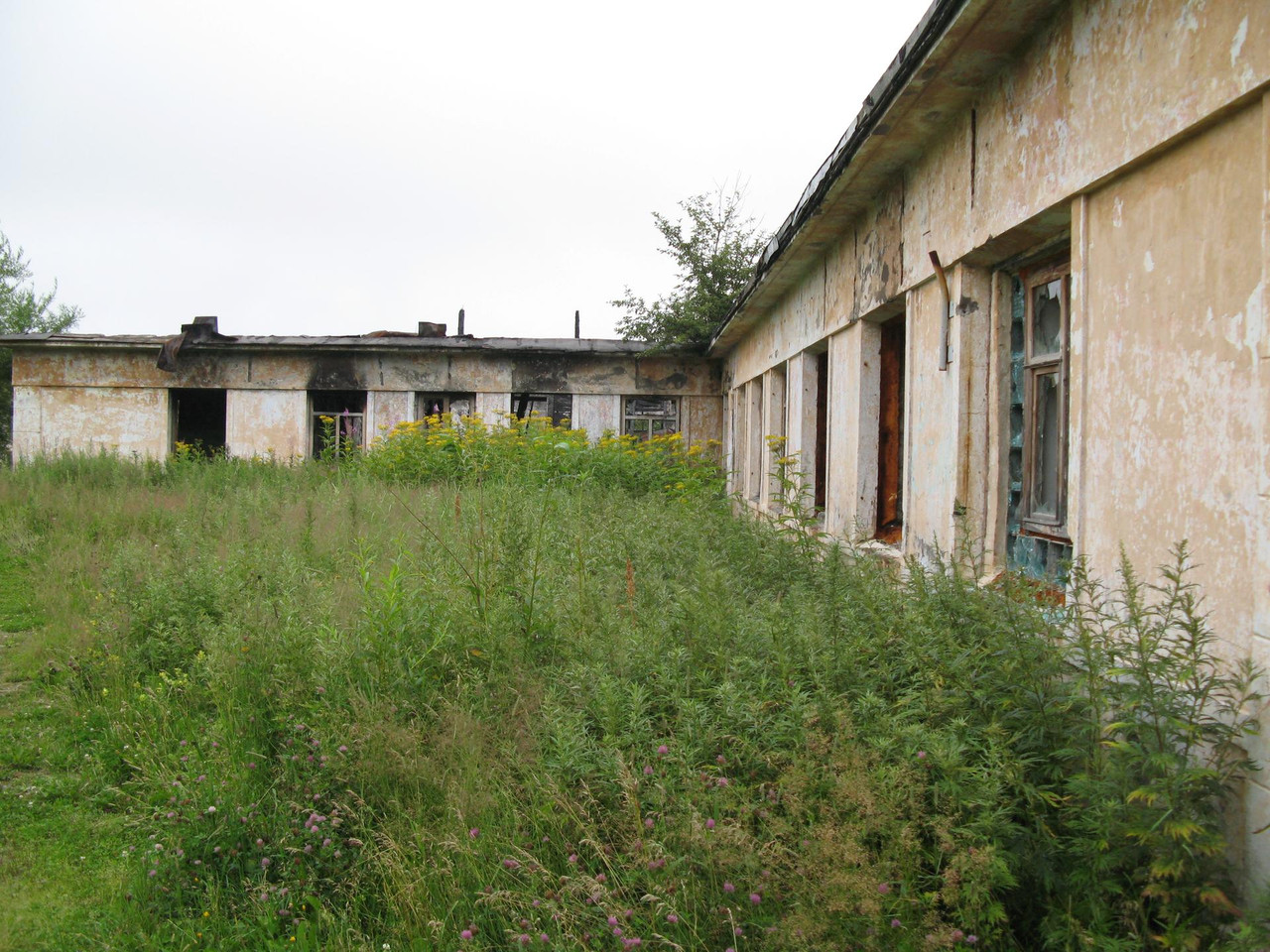 IMG-1593.jpg