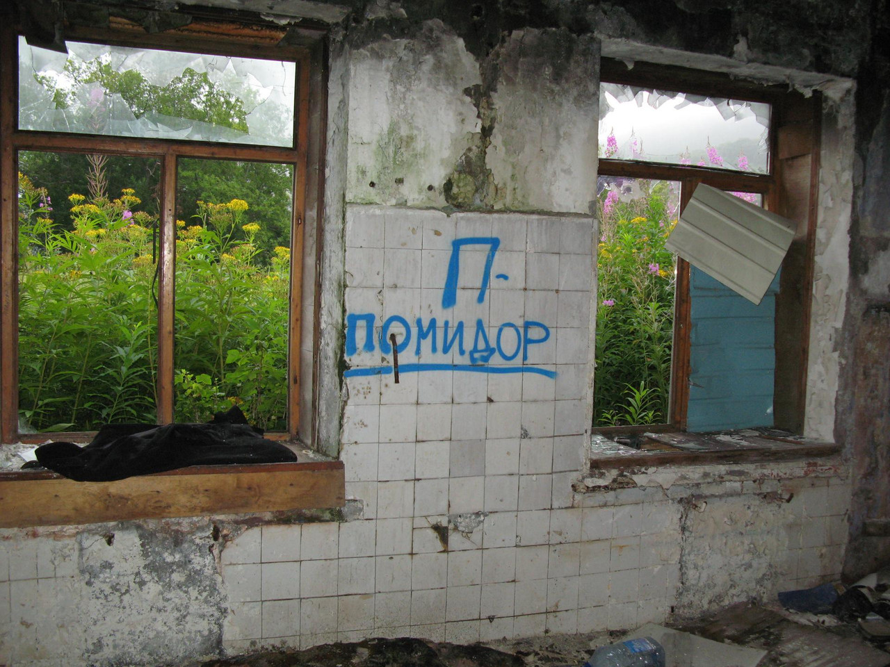 IMG-1598.jpg