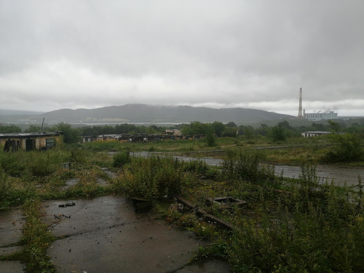 IMG-20250821-131212.jpg