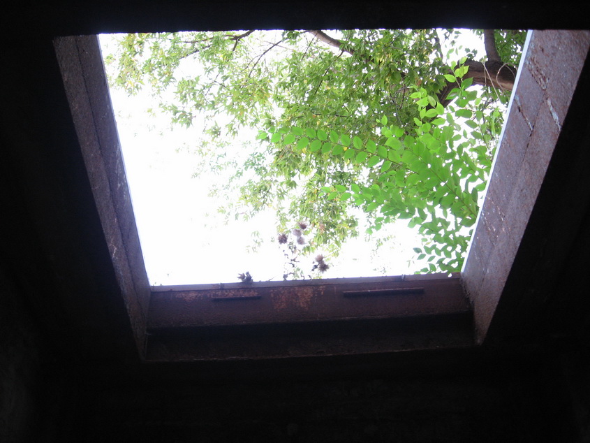 IMG_1633_новый размер.jpg