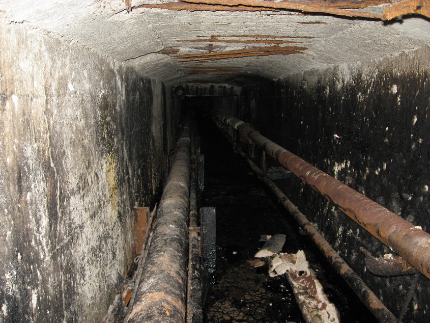 IMG_1660_новый размер.jpg