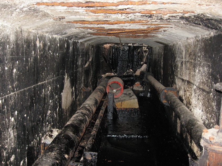 IMG_1662_новый размер.jpg