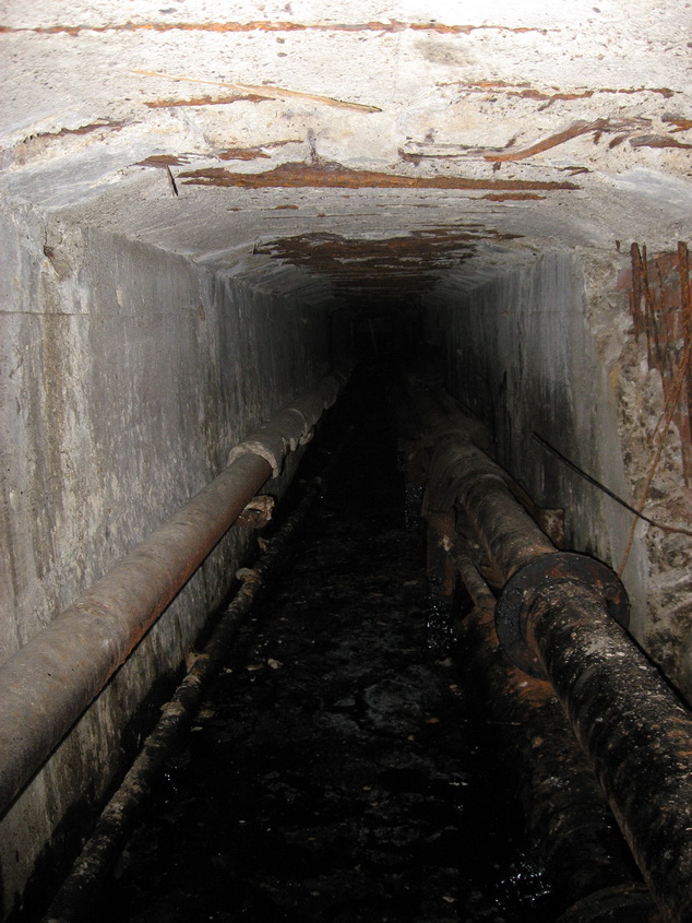 IMG_1663_новый размер.jpg