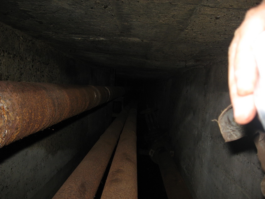 IMG_1666_новый размер.jpg