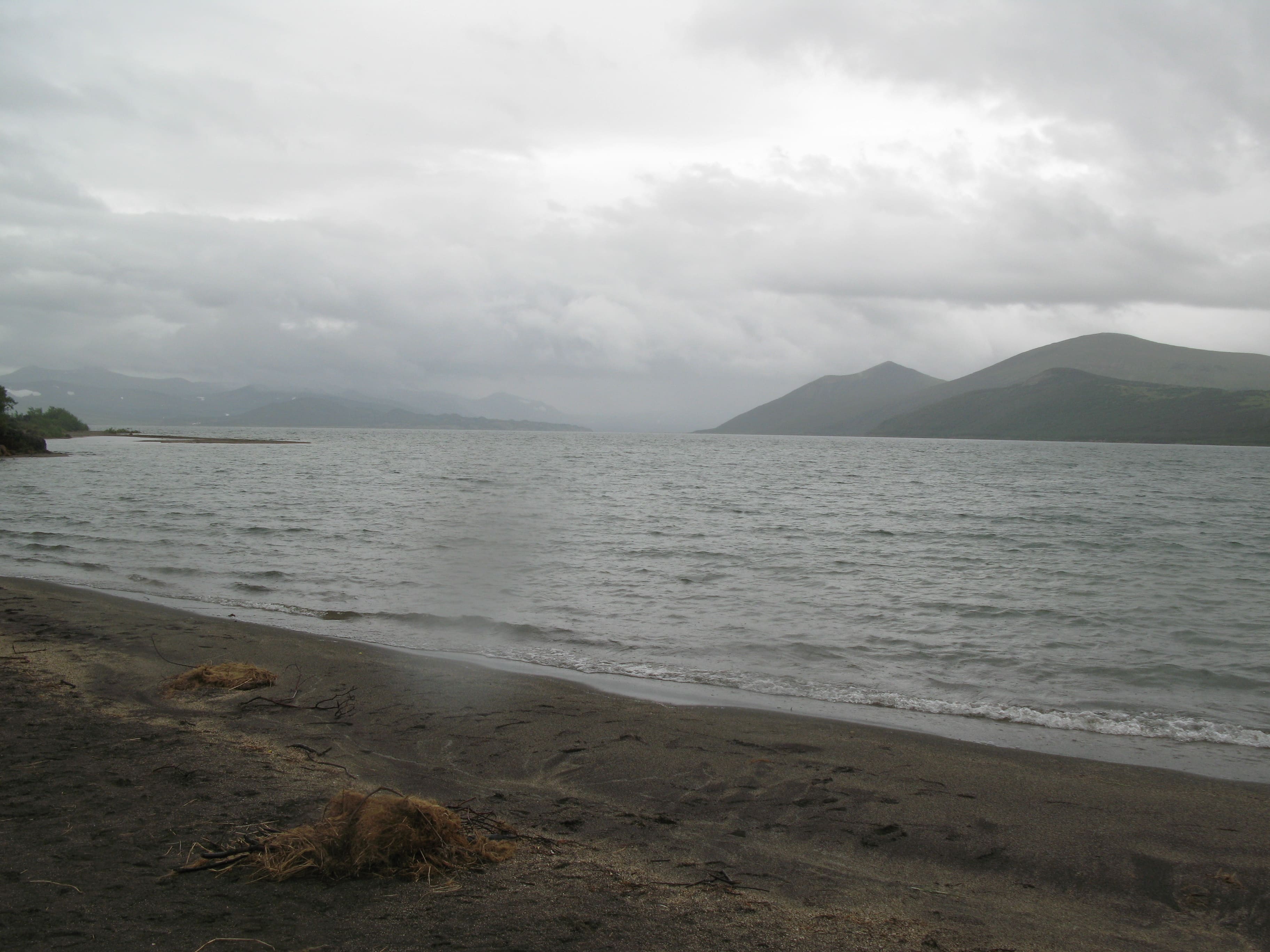 IMG_1667.jpg