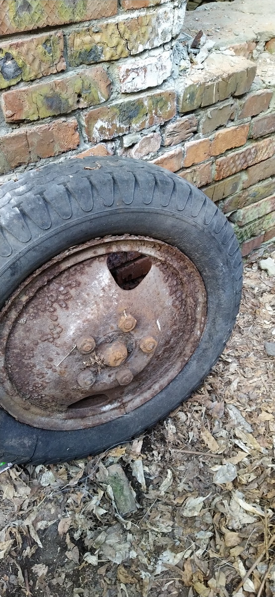 IMG_20230423_163029_новый размер.jpg