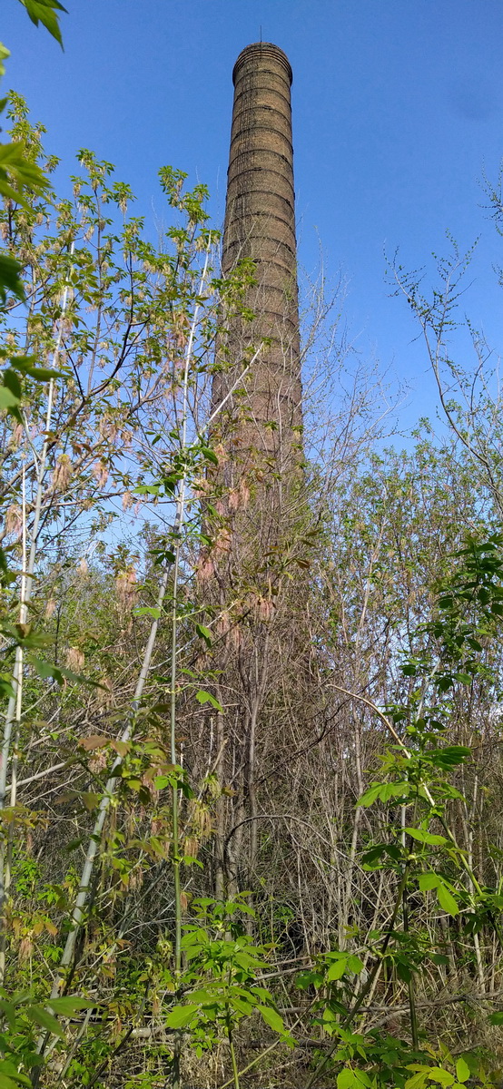 IMG_20230423_163712_новый размер.jpg