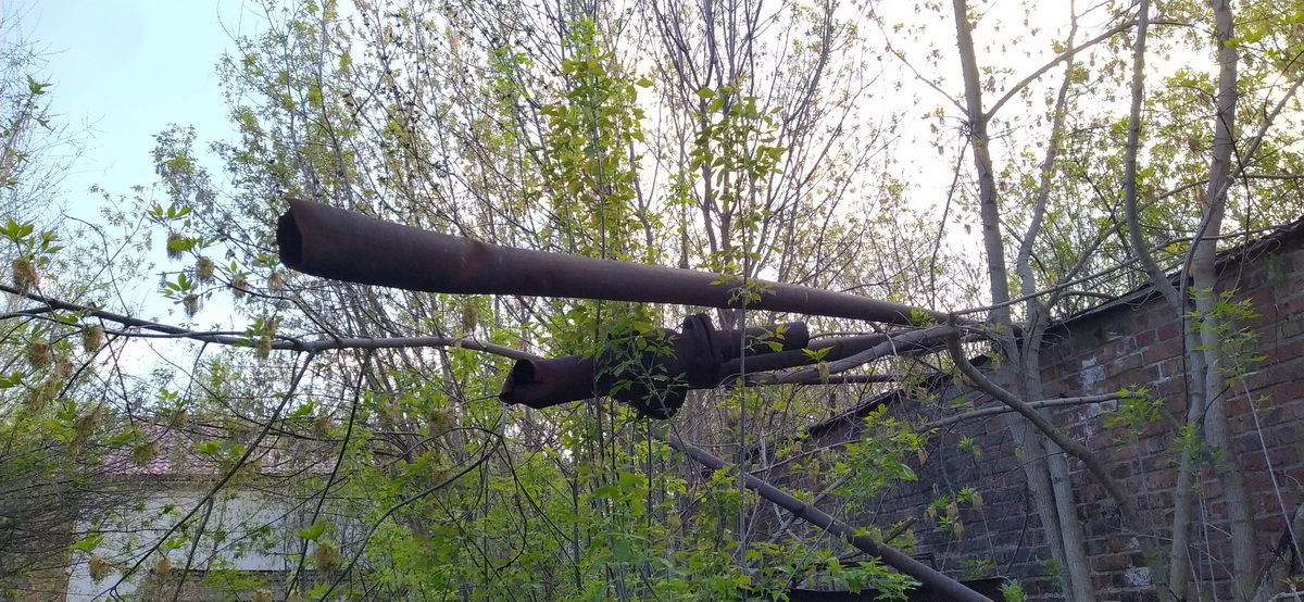 IMG_20230423_164026_новый размер.jpg